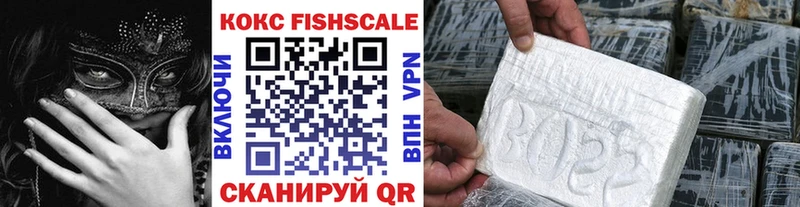 Кокаин FishScale  Купить закладки  Ветлуга 