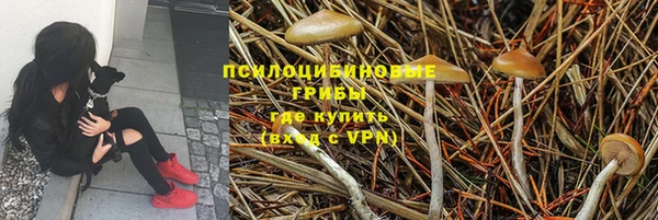 МДПВ Володарск