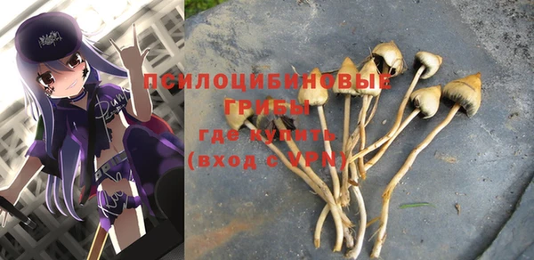 гашик Волоколамск