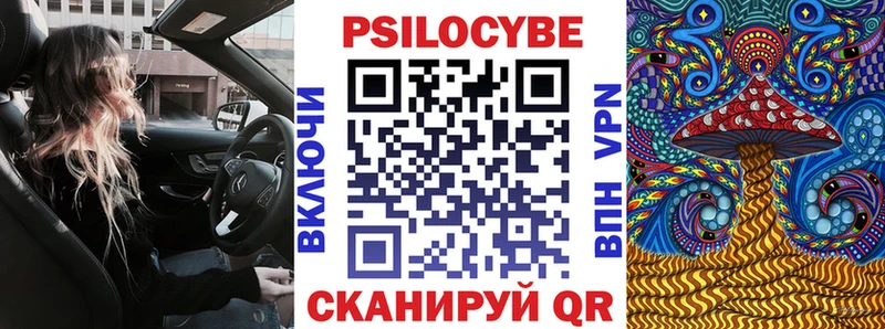 Купить где  Ветлуга  Псилоцибиновые грибы ЛСД 